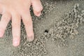 Close up kid`s hand and finger, play and learn at the beach