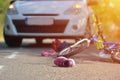 Close-up of a kid shoe fallen on the asphalt next to a bicycle a Royalty Free Stock Photo