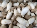 Close up king oyster mushroom display