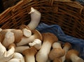 King oyster mushrooms at retail display Royalty Free Stock Photo