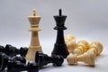 Close up of kings of chess game. Battle, strategy and tactics.