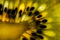 Macro Kiwi Fruit Center Royalty Free Stock Photo