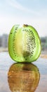 Close-up of a kiwi fruit with its vibrant green color Royalty Free Stock Photo