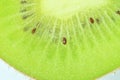 Close-up of kiwi fruit in liquid with bubbles. Slice of gren ripe kiwi fruit in water. Close-up of fresh slice of green Royalty Free Stock Photo