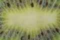 Close-up of a kiwi fruit slice in liquid with bubbles. Slice of ripe kiwi fruit in water. Close-up of fresh kiwi slice Royalty Free Stock Photo