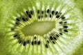 Close up of kiwi fruit on a white light background, macro, abstract photography