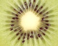 Close up of kiwi slice Royalty Free Stock Photo