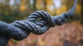 Close-up of a knotted rope in a forest Royalty Free Stock Photo