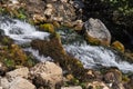 Close up of a Krupa river near its karst spring