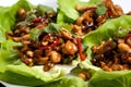 Close-up of Kung Pao chicken lettuce wraps with a savory hoisin sauce, fresh cilantro, and crispy wonton strips