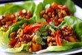 Close-up of Kung Pao chicken lettuce wraps with a savory hoisin sauce, fresh cilantro, and crispy wonton strips