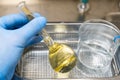 Close up laboratory assistant hand in blue glove,holding round glass flask yellow liquid,metal box container,transparent