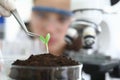 Close-up in laboratory stands sprout in ground