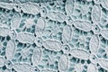 Close up of lace textile or fabric background Royalty Free Stock Photo