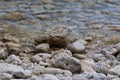 Close up of the lakebed and rocky shoreline of Lake Michigan in Door County, Wisconsin Royalty Free Stock Photo