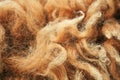 Close-up of lamb fur