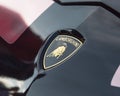 Close-up Lamborghini logo on 2018 Rose Gold Chrome Aventador