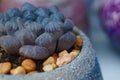 Close up the landscape of fleshy plants sprouting. Royalty Free Stock Photo