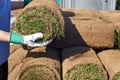 Close Up Of Landscape Gardener Laying Turf For New Lawn