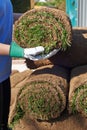 Close Up Of Landscape Gardener Laying Turf For New Lawn