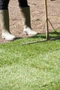 Close Up Of Landscape Gardener Laying Turf For New Lawn Royalty Free Stock Photo