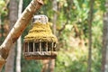 Lantern wooden with moss