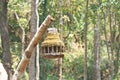 Lantern wooden with moss