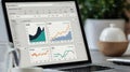 Close-up of a laptop screen displaying analytics data and sales trends for a small online business