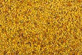 Close up of large bee pollen Royalty Free Stock Photo