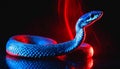 Close-up of large blue snake with red glow.