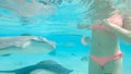 CLOSE UP: Large friendly stingrays swim around unrecognizable girl in bikini.