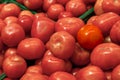 Close-up on a large number of tomatoes red from a fresh crop of Royalty Free Stock Photo