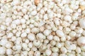 Close up of a large pile of many small white onions, harvested and cured, being sold in a farmer`s market