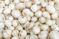 Close up of a large pile of many small white onions, harvested and cured, being sold in a farmer`s market
