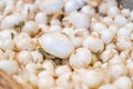 Close up of a large pile of many small white onions, harvested and cured, being sold in a farmer`s market