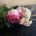 Close up on large pink rose and small white roses flower pedals lying on the ground Royalty Free Stock Photo
