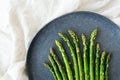 Close-up on a large plate - asparagus with salt and garlic. Delicious and healthy food, served in a restaurant, beautiful layout Royalty Free Stock Photo