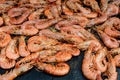 Close up of large portion of grilled shrimps on a large black pan at a street food festival, ready to eat healthy seafood, beautif