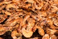 Close up of large portion of grilled shrimps on a large black pan at a street food festival, ready to eat healthy seafood, beautif