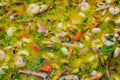 Close up of large portion of mixed seafood cooked with vegetables, available for sale at a street food market, top view or flat la