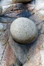 Large round pebble in rock pool