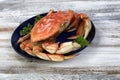 Close up of a large single cooked Dungeness crab inside dark blue plate Royalty Free Stock Photo