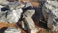 Close up of Large stones or rock settled in between green tree