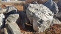 Close up of Large stones or rock settled in between green tree