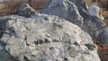 Close up of Large stones or rock settled in a public park