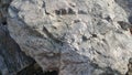 Close up of Large stones or rock settled in a public park