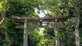 Close up of a torii gate at the entrance to meiji shrine in tokyo Royalty Free Stock Photo