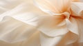 A close up of a large white flower, AI