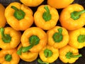 4 large yellow peppers with green pods