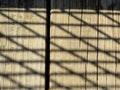 Lattice Fence Shadow On Weathered Wood Royalty Free Stock Photo